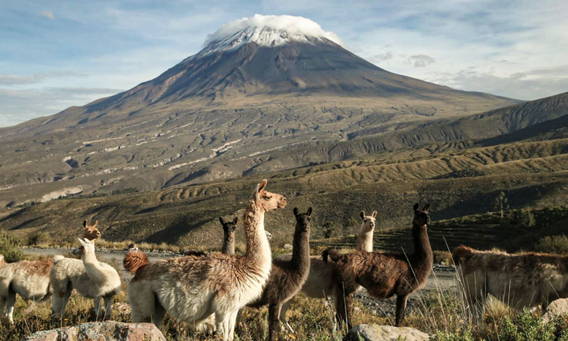 Colca Canyon trekking descent
