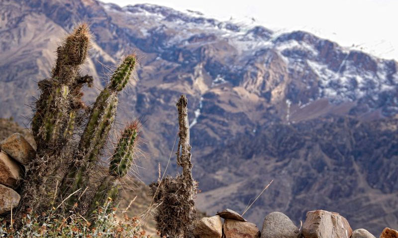 Colca Trek sunrise ascent